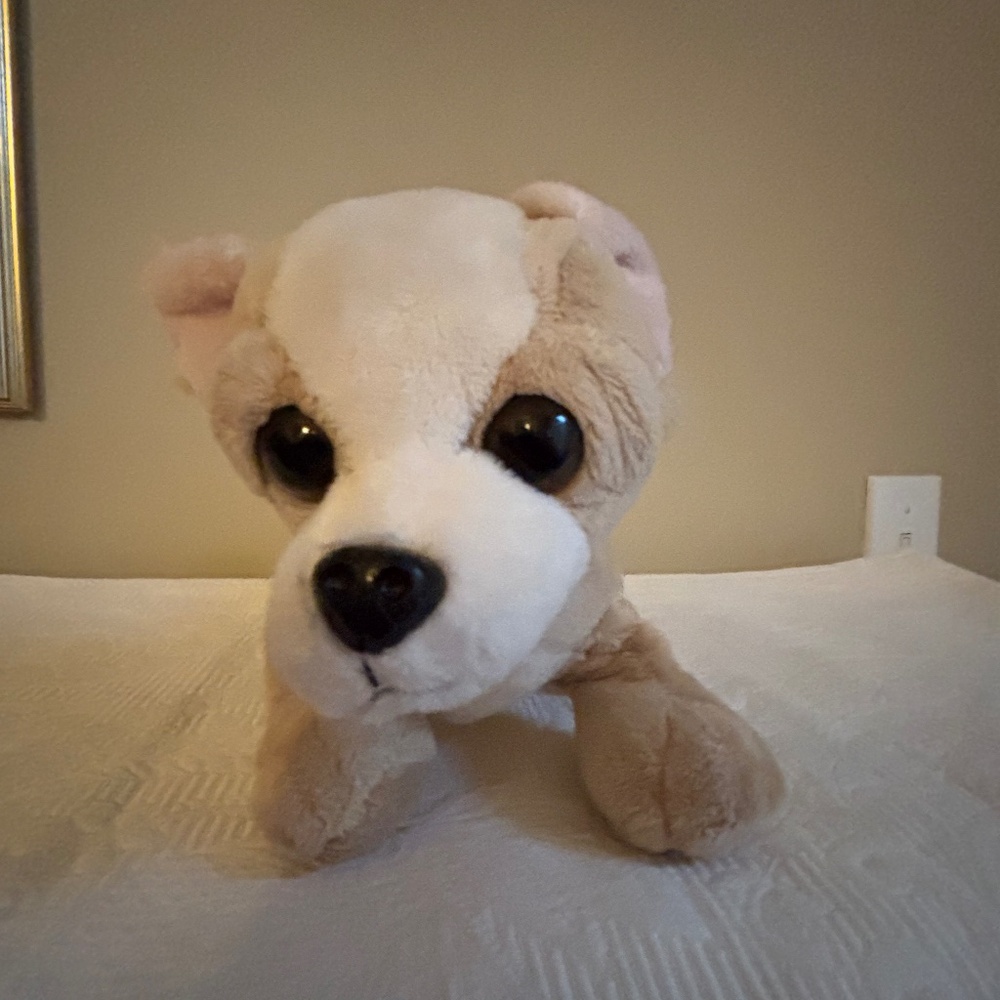 GANZ Webkinz Chihuahua, HM104, No code